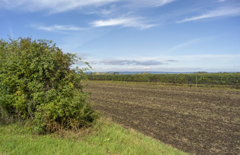 Farm Clearing in Marietta, GA