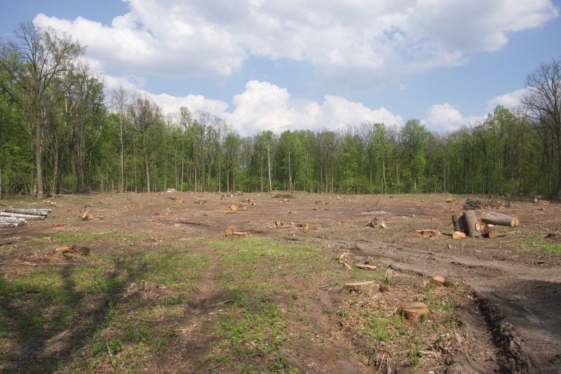 Terrain Clearing in Atlanta, GA