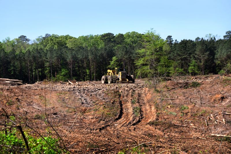 Building Site Clearing in Atlanta, GA