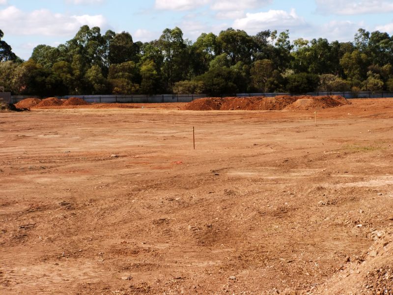 Easement Land Clearing in Houston, TX