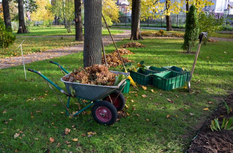 Ground Clearing in Atlanta, GA