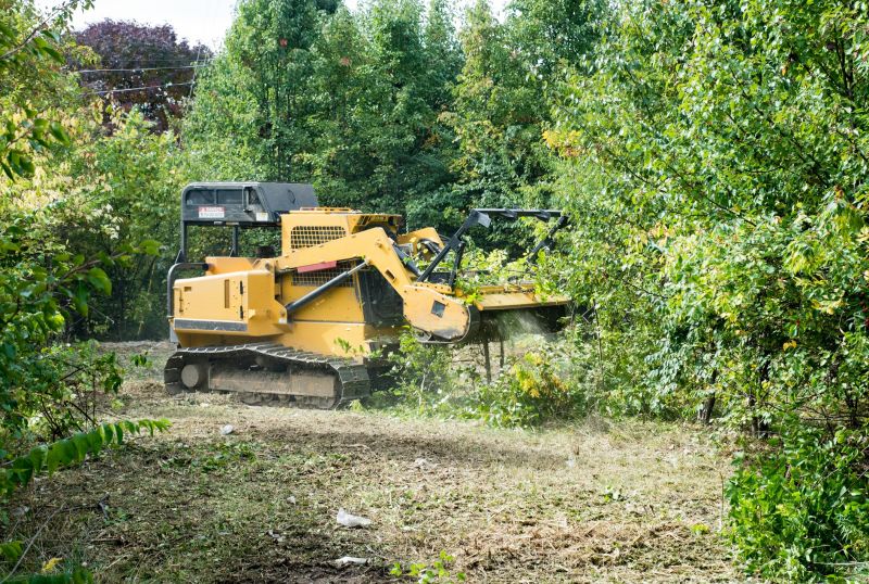 Hill Clearing in Katy, TX