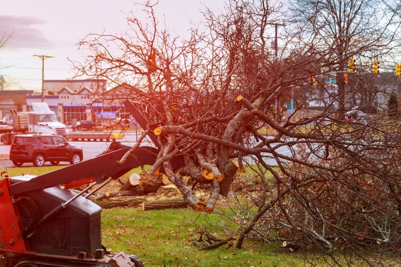 Site Cleaning in Katy, TX