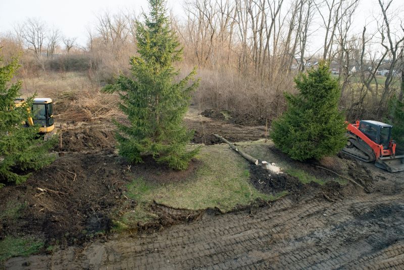 Undergrowth Removal in Marietta, GA